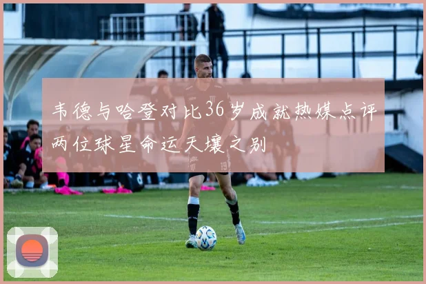 韦德与哈登对比36岁成就热媒点评两位球星命运天壤之别